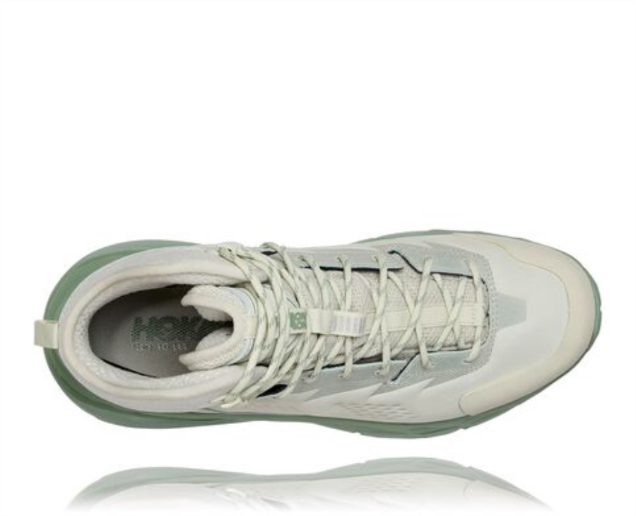 Možda Gtx Hoka Celadon Tint Bosiljak
